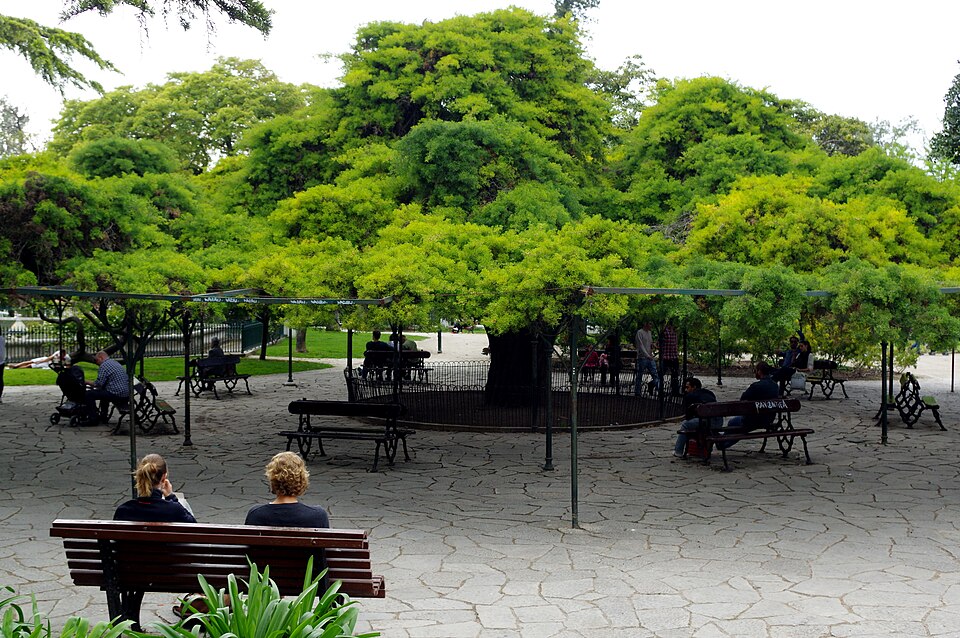 Jardim do Principe Real Lisbon